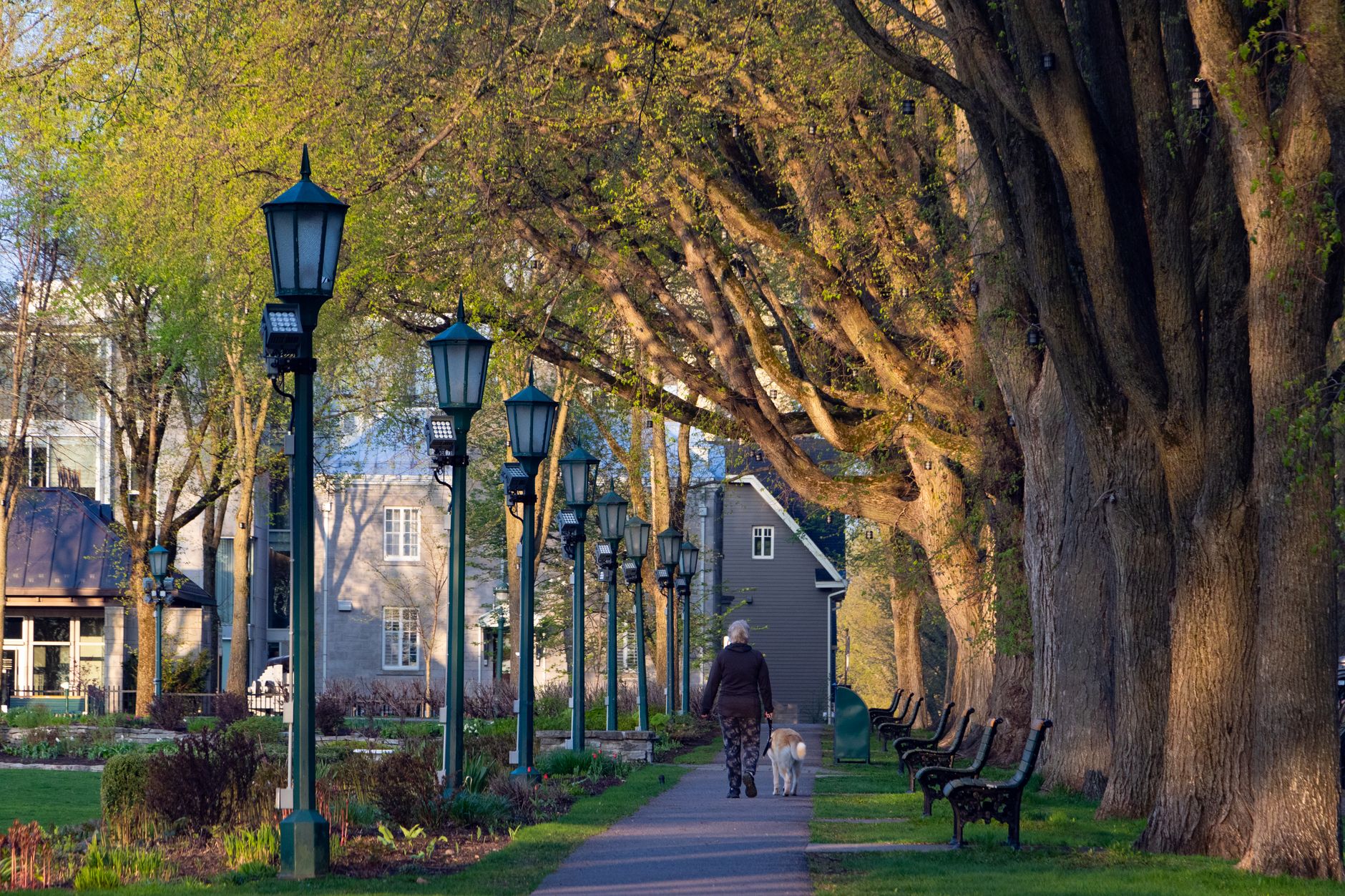 woman walking morning park